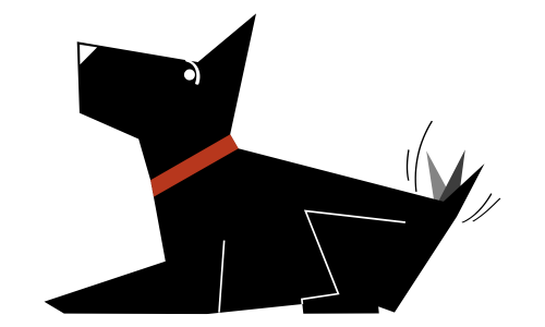 black dog